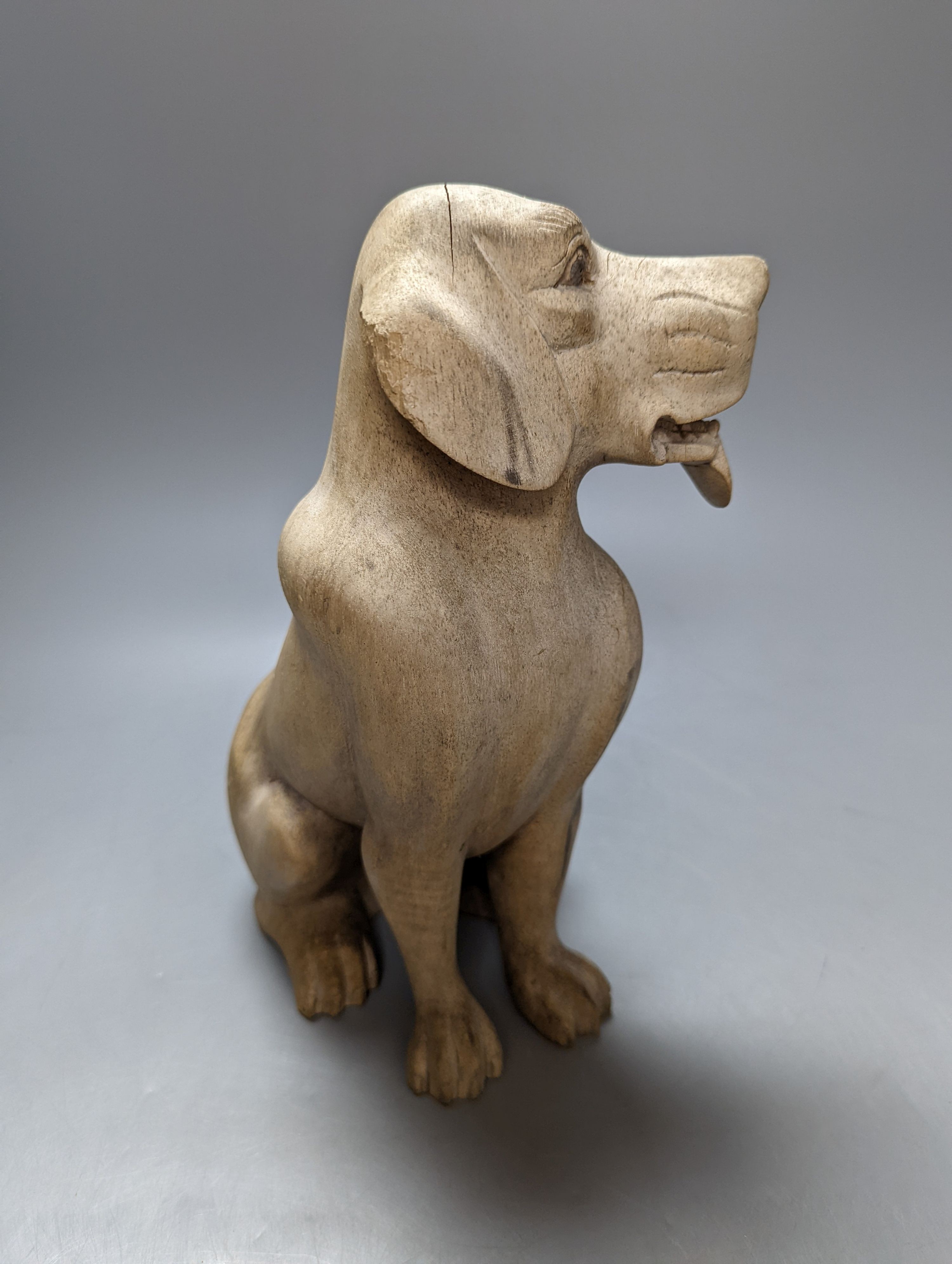 A carved wood model of a seated dog 29cm